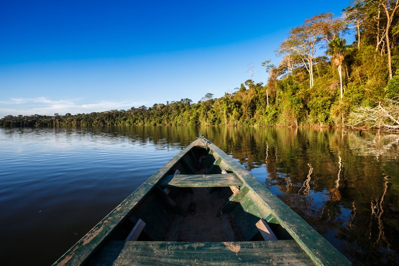 Amazon river landscape