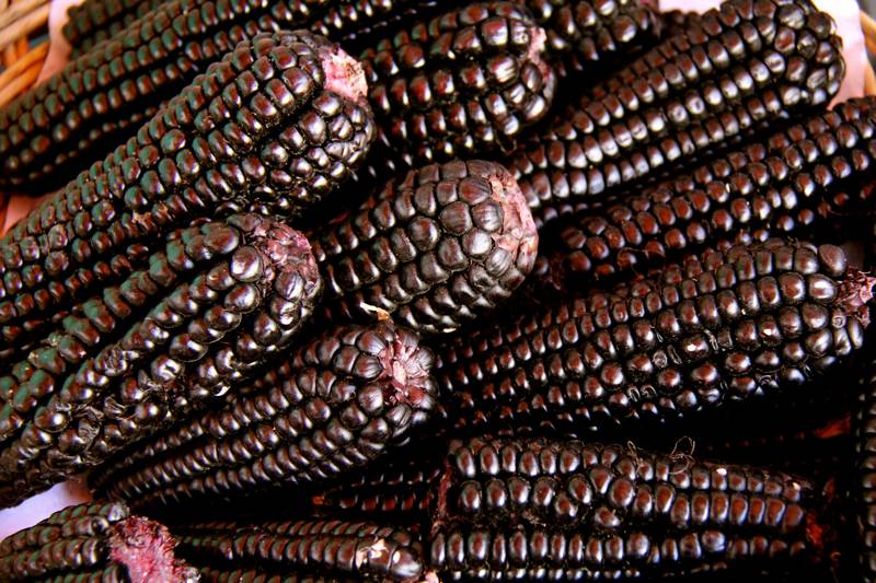 Purple Corn, San Camilo Market, Arequipa, Peru