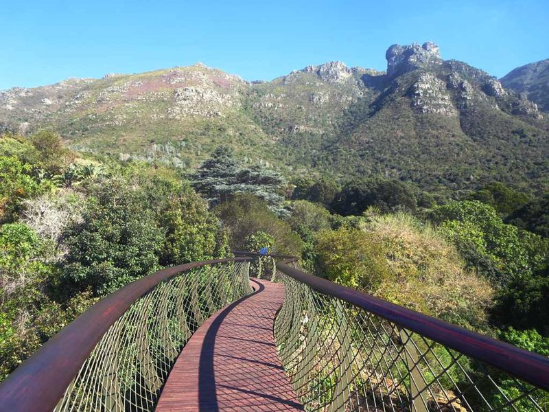 Kirstenbosch gardens