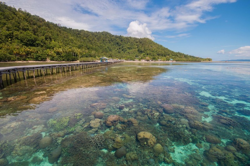 Papua island in Indonesia