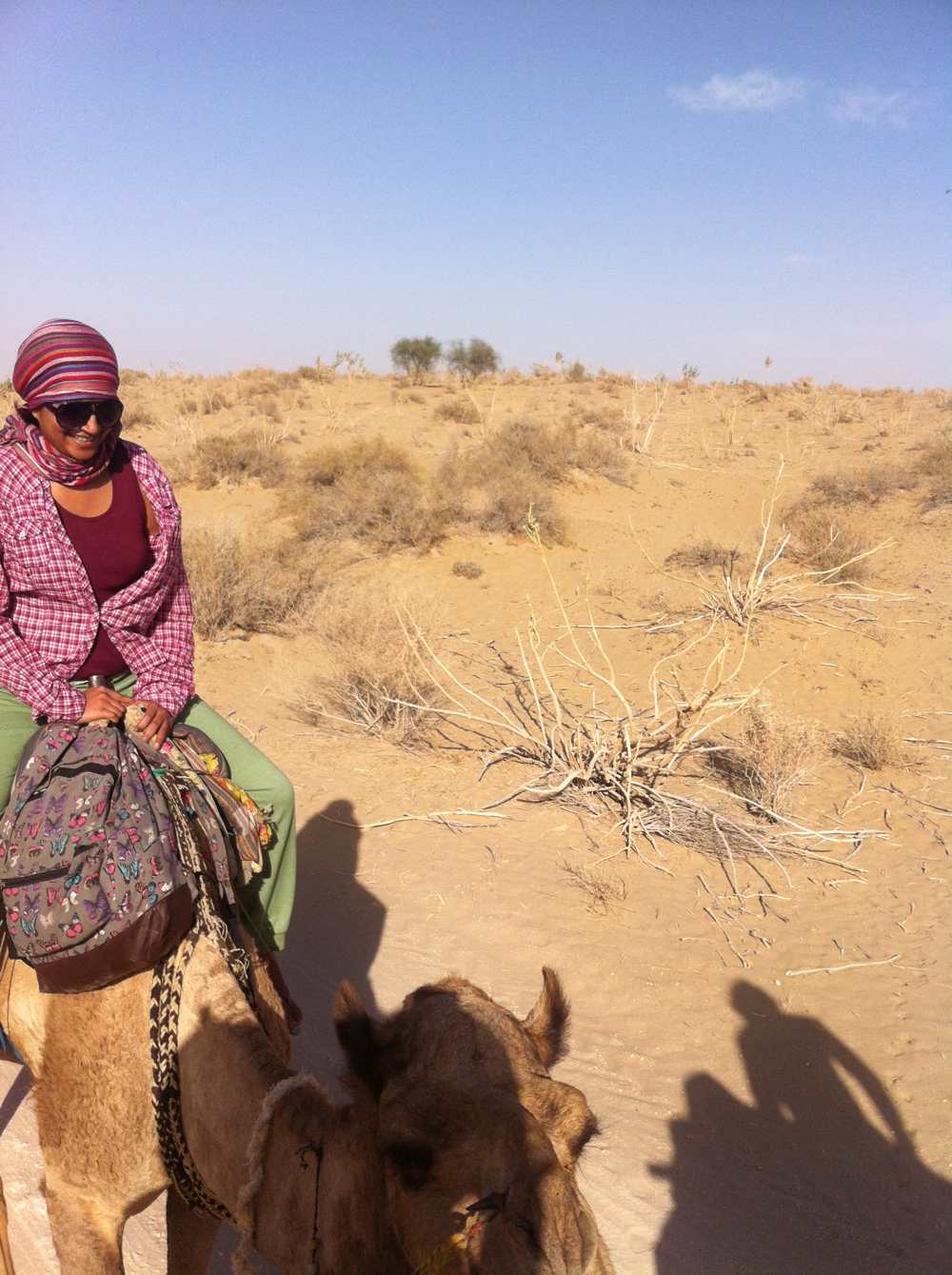 Anu and camel