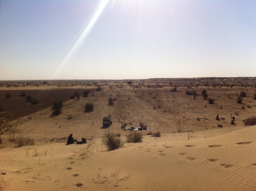 Camel safari camp spot