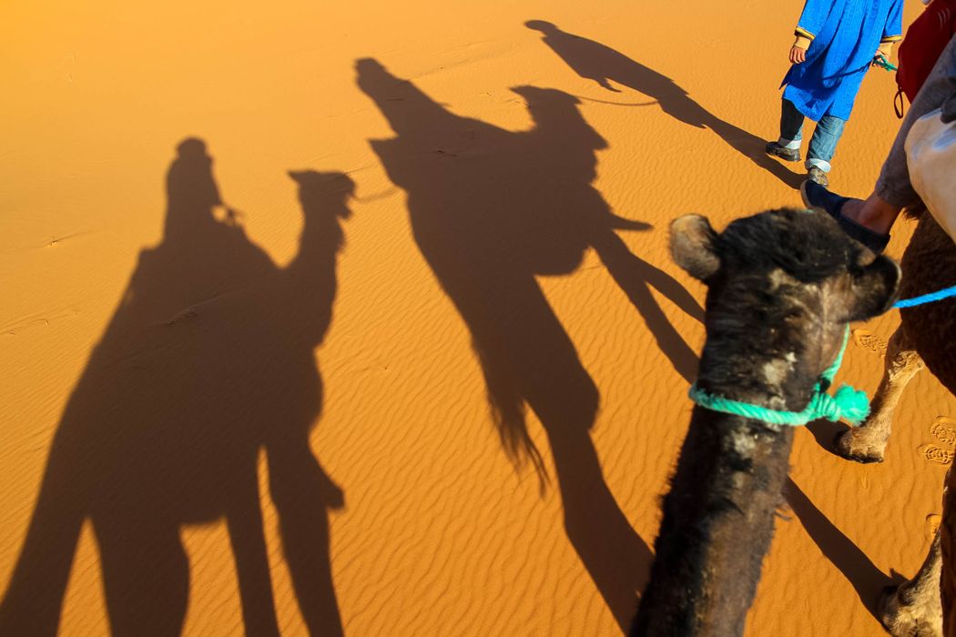 Riding the camel in the Sahara desert