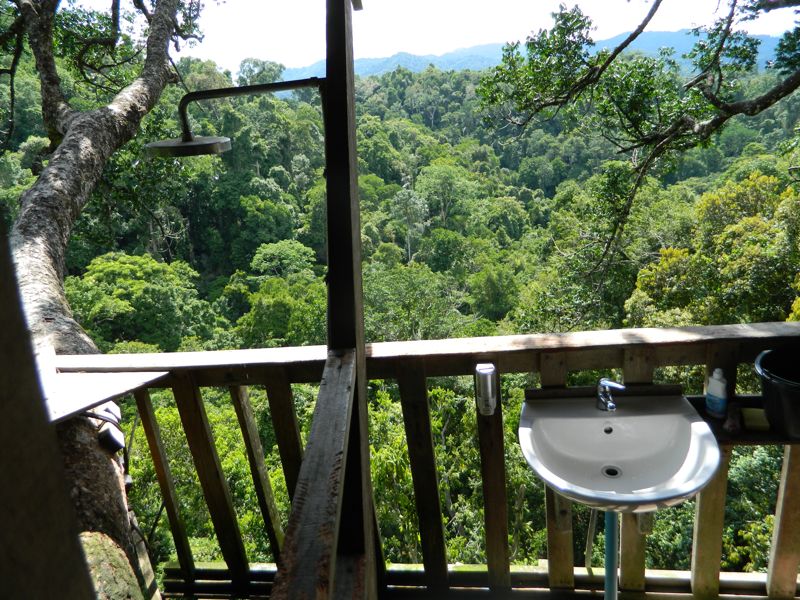 Bathroom with a view!