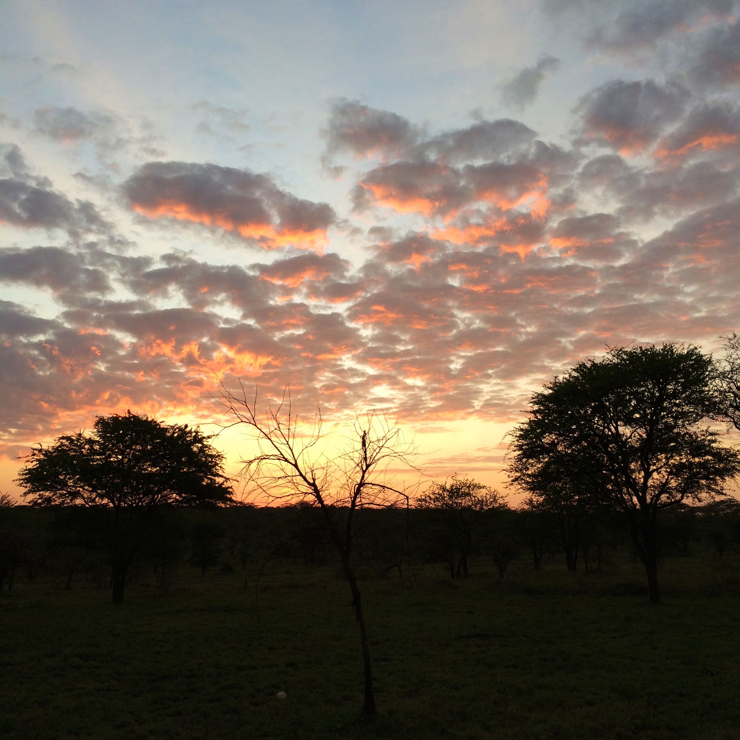 sunrise in Serengeti National Park
